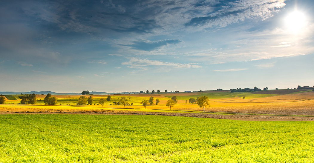 MCS Landscape
